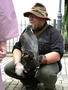 Falkner - Beizjagd