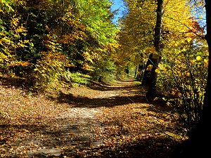 Bad Alexandersbad: Kurpark und Spazierwege