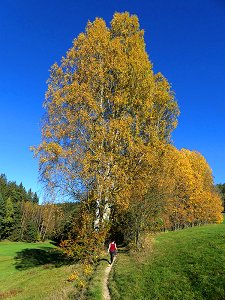 Wanderwege rund um Bad Alexandersbad