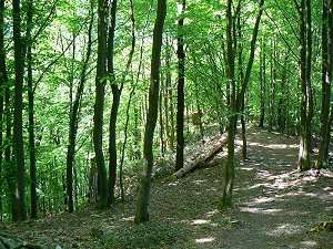 Bad Berneck im Fichtelgebirge