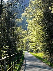 Radweg Bischofsgrün - Bad Berneck im Tal des Weißen Mains