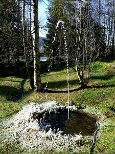 Springbrunnen bei Bischofsgrün