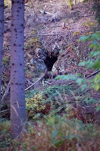 Venedigerhöhle im Jahr 1978