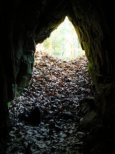 Walen-Höhle