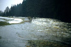 Thus der Eger in Neumühle bei Marktleuthen