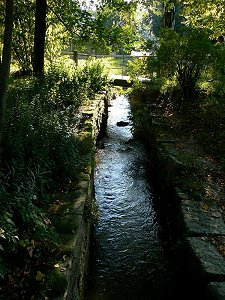 Die Lamitz im Stadtpark