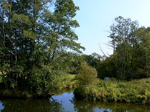 Lamitzmündung in die Sächsische Saale