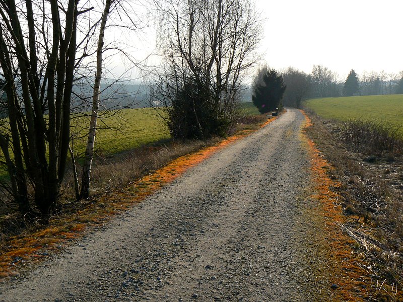 Radweg auf der ehemaligen Lokalbahnstrecke