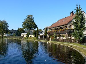 Stadtteich in Kirchenlamitz