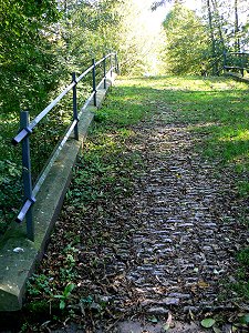 Die Baille-Maille-Brücke 2010