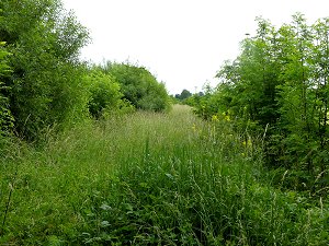 Alte Bahnlinie Neuenmarkt-Wirsberg - Himmelkron - Bad Berneck - Bischofsgrün