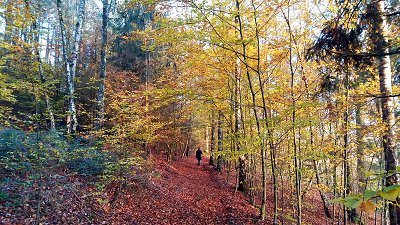 An der Schiefen Ebene bei Streitmühle