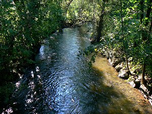 Weißer Main bei Himmelkron