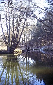 Die Eger bei Hohenberg