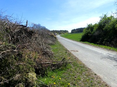 Die alte Trasse der Autobahn A9 am Lanzendorfer Berg als Feldweg