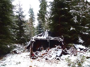 Der Waldläufer im Fichtelgebirge