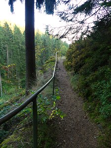 Wanderweg beim Bayreuther Haus