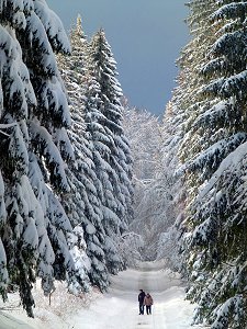 Winterwanderweg bei Mehlmeisel