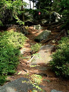 Der Höhenweg zwischen Silberhaus und Platte