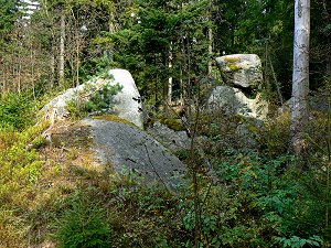 Granitfelsen