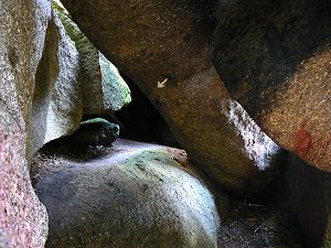 In der Girgelhöhle