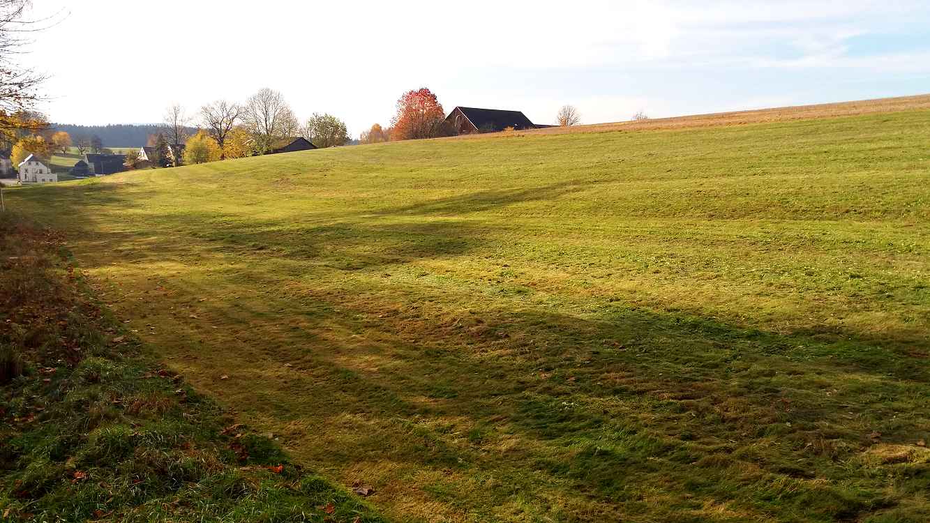 Hier bei Neuhausen (Rehau) geplantes Erlebniszentrum für Biodiversität Arte Noah