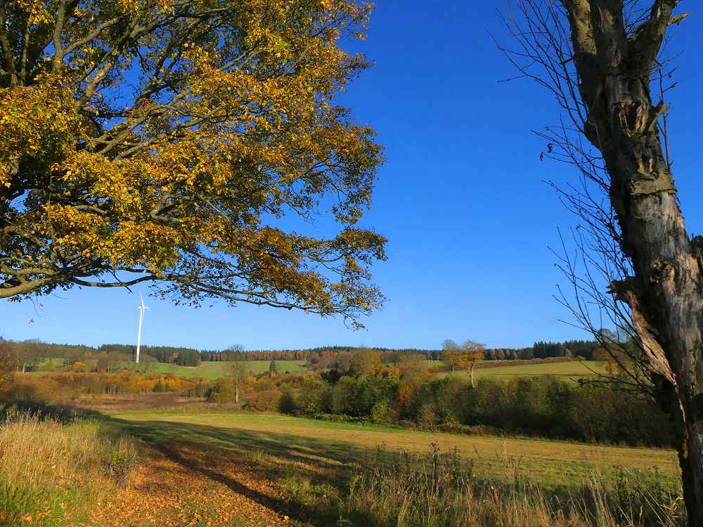 Hier lag das verschwundene Dorf Mähring