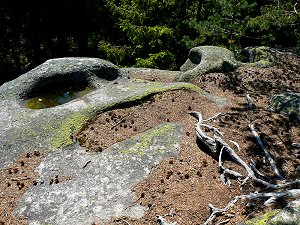 Druidenschüsseln auf dem Kreuzfelsen des Rudolfsteins im Fichtelgebirge