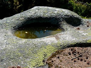 Druidenschüsseln auf dem Kreuzfelsen des Rudolfsteins im Fichtelgebirge