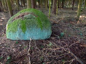 Findlinge im Wald unterhalb des Rudolfsteins