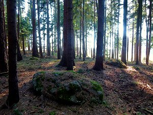 Findlinge im Egertal unterhalb des Rudolfsteins