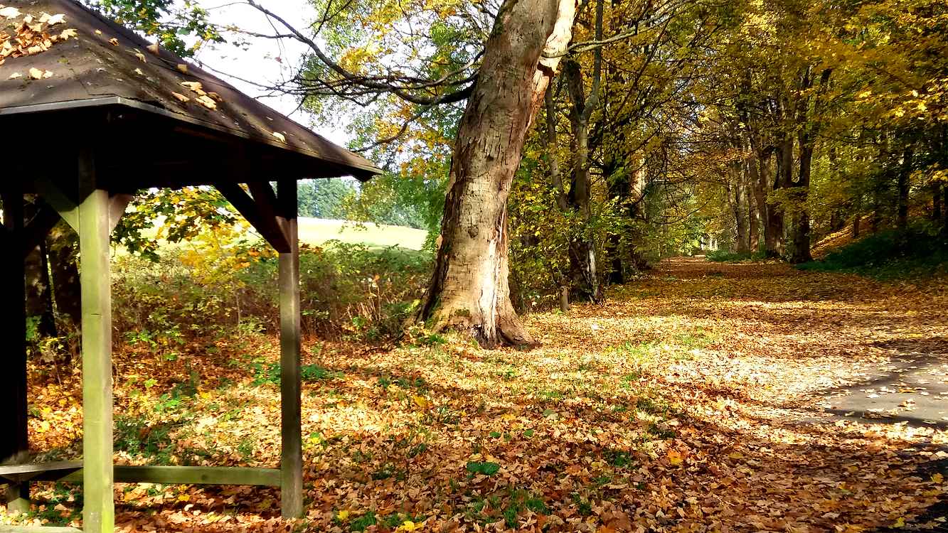 Die alte Poststraße von Hof an der Saale über Neuhausen und Asch nach Eger (heute Cheb)