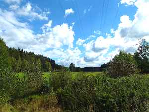 Das Tal des Perlenbachs bei Schönwald