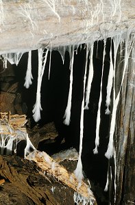 Alter Bergwerksstollen