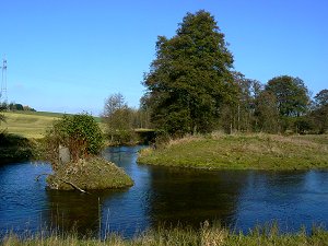 Im Ökopark in Schwarzenbach