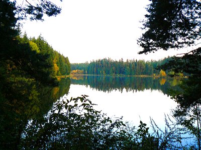 Die Häusellohe, Moorgebiet am Ostrand des Fichtelgebirges