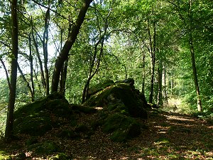 Basaltfelsen auf dem Hiligenberg