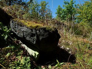 Mit Moosen bewachsene Basaltfelsen