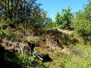 Der höchste Gipfel des Steinbergs