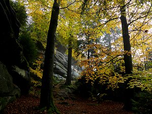 Waldstein - Felsengruppe im Gipfelbereich