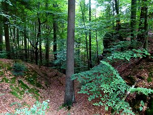 Burgruine Wurzstein