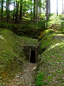 Historischer Bergbau in Warmensteinach