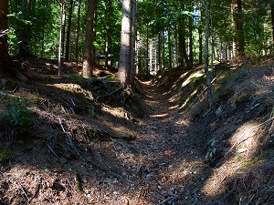 Pingen, grabenartigen Vertiefungen von Bergbauaktivitäten